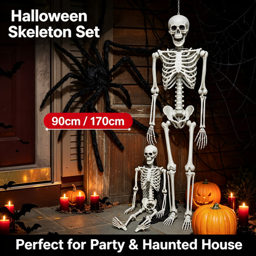 Halloween skeleton life size - halloween,