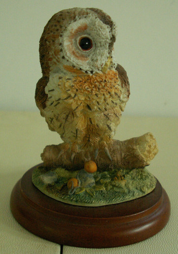Tawny owl 484245 birds - tawny, by