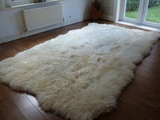 XXL Best Quality Natural Ivory Genuine British Sheepskin Rug made from 12 pelts