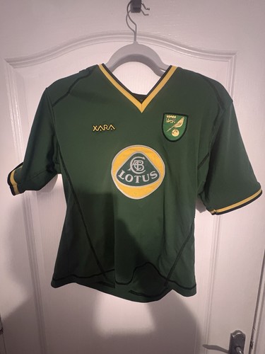 Norwich city 2003 season - norwich,