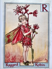 Ragged robin alphabet - ragged,