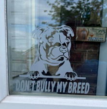 XL American Bully Dog ban