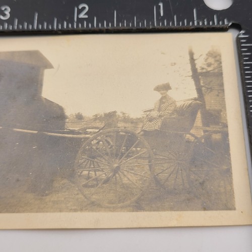 Woman riding horse drawn - horse,