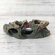  Fish Tank Cave Reptile