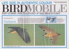 Card Model Kit of British Wild