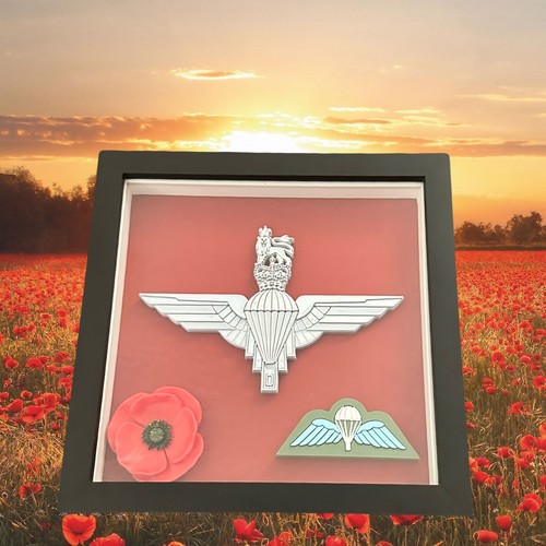 Framed printed parachute - 3d,