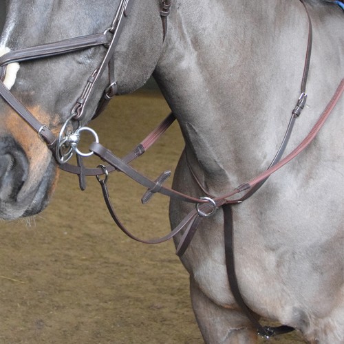Whitaker ready ride - ready,