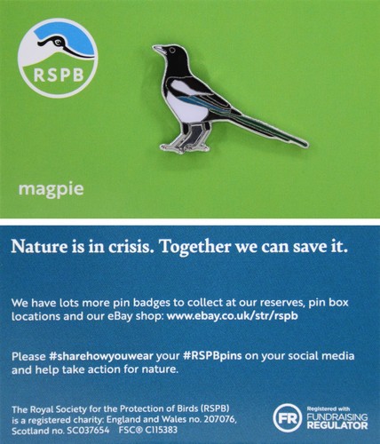Rspb pin badge niic magpie - niic,