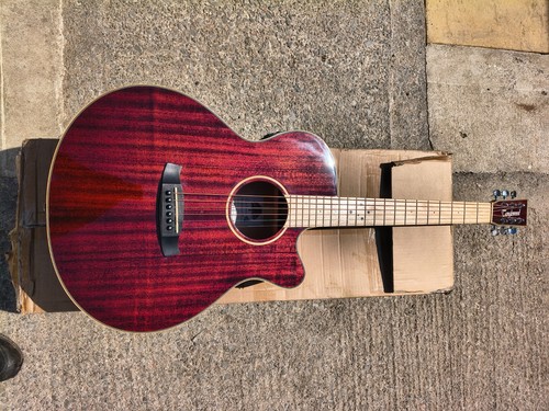 Tanglewood winterleaf electro - winterleaf,