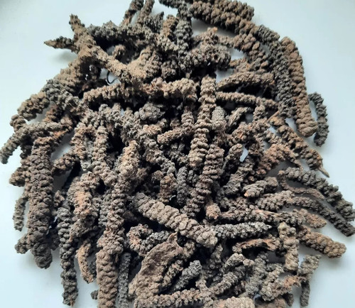 Timiz ethiopian long pepper - ethiopian,
