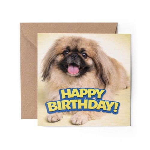 Pekingese greeting card - x,