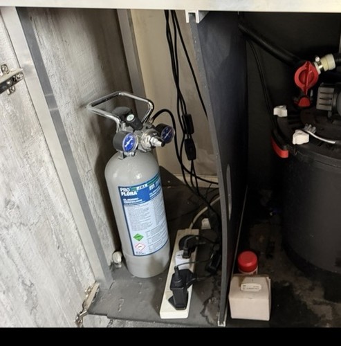Proflora co2 cylinder 2000 - co2,
