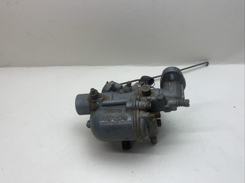 Suffolk colt zenith type - zenith,