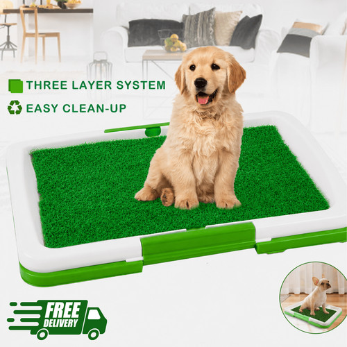 Pet dog toilet mat - dog, indoor