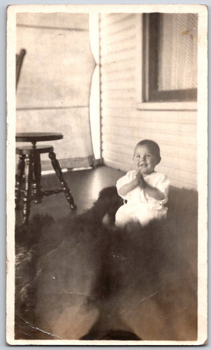 Baby bear skin rug rppc - baby,