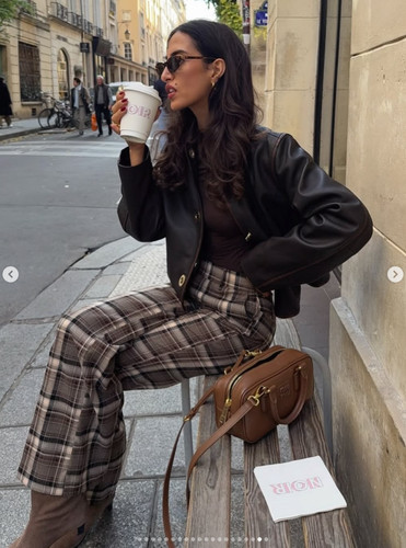 Zara brown check - check, printed