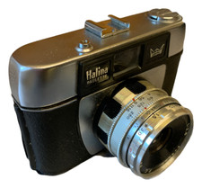 Vintage Halina Paulette