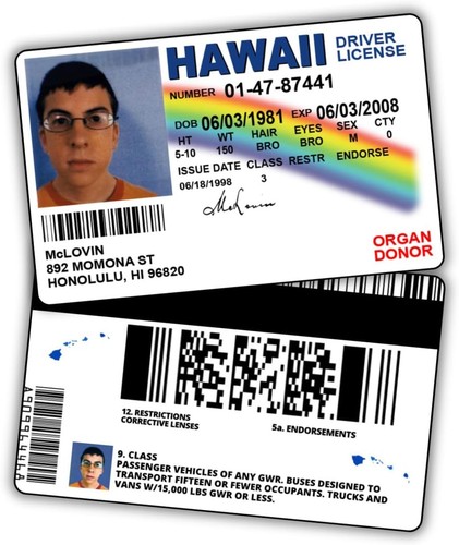 Mclovin driver license - id,