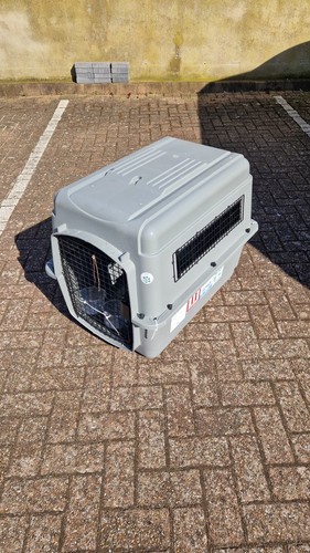 Petmate cat small dog - cat,