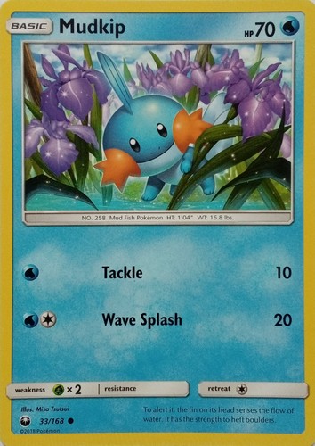 168 mudkip common - mudkip, |