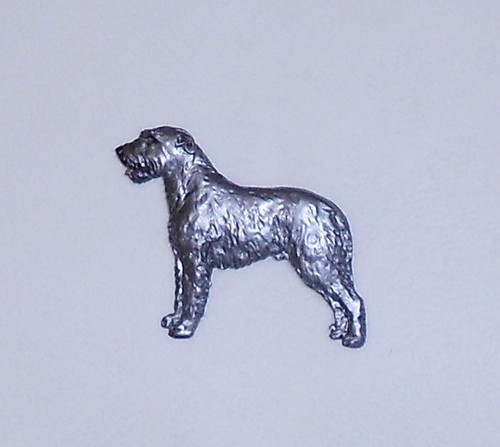 Irish wolfhound dog - wolfhound,