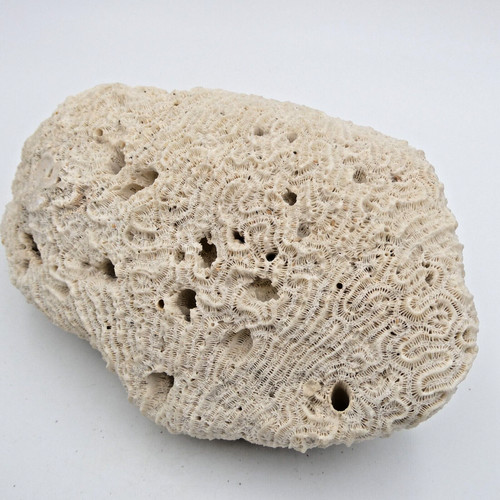 Large vintage natural - natural, white