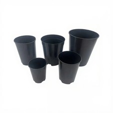 Deep rose pots 4 - rose, 2,