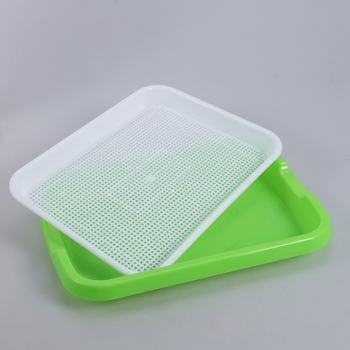 Tray growing for - tray,