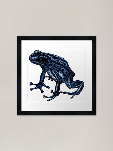 Blue poison dart frog