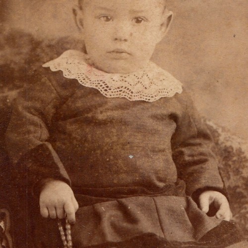 C1880s groh studio cdv photo - studio,