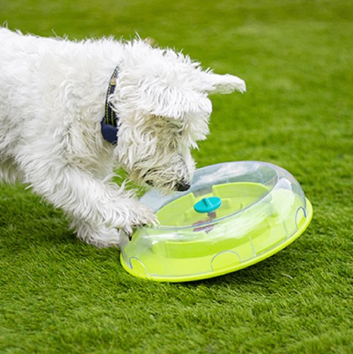 Nina ottosson dog - ottosson,