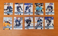 Complete sheffield steeldogs - sheffield,