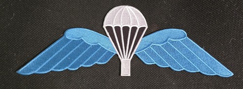 Parachute regiment airborne - parachute,