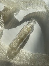 Vintage Corn Snake Skin Shed