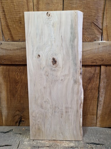 Live edge hornbeam slab - live,