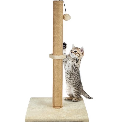 74cm tall large cat scratching - tall,