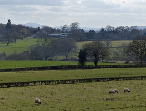 Photo 6x4 farmland near - near, park