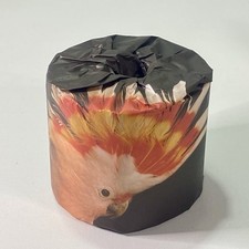 Cockatoo Major Mitchell’s