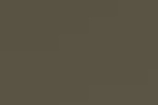 Brush anti rust army - rust,