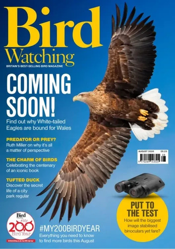 Bird watching magazine - bird,