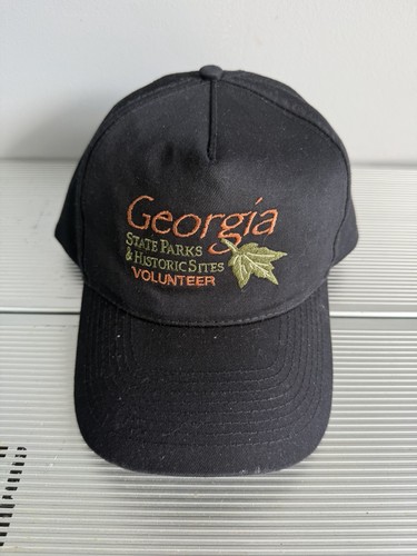 Georgia state parks vintage - state,