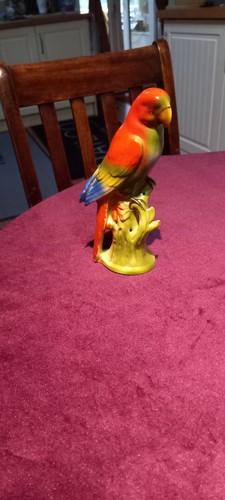 Porcelain parrot germany - porcelain,