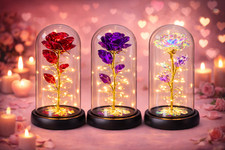Romantic LED Rose in Glass
