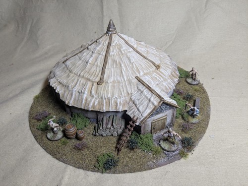 28mm painted celtic dark age - celtic,