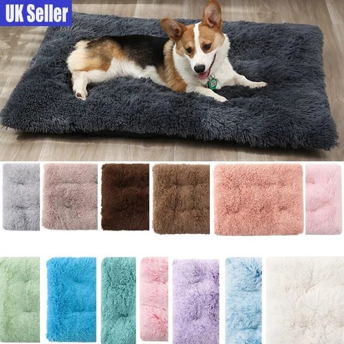 Dog bed crate - dog,