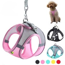 Adjustable Puppy & Cat Harness Vest Set with Leash – Small Dog Collar for French