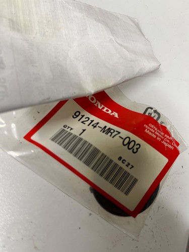 New genuine honda cbr1100xx - new,