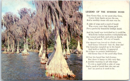 Unposted greeting card - greeting,