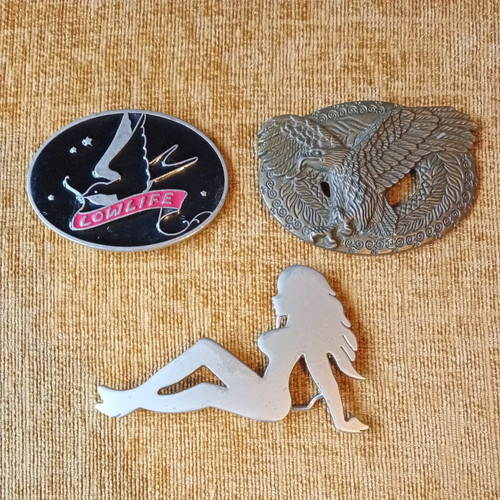 Belt buckle bundle - belt, including