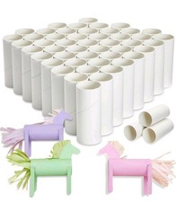 Pack of 48 Cardboard Craft